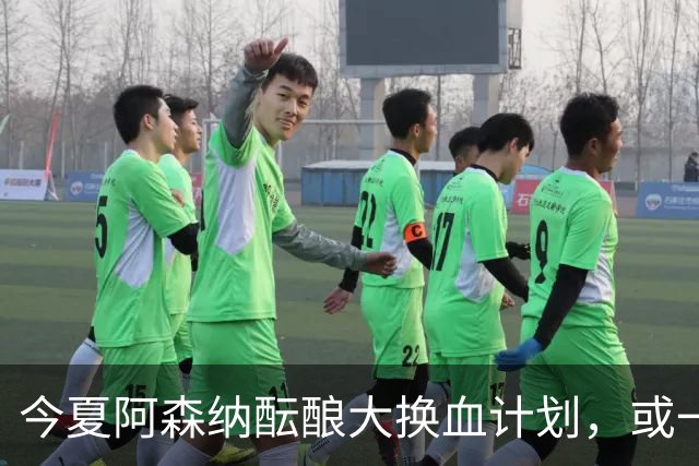 今夏阿森纳酝酿大换血计划，或一口气清洗8大悍将，豪购两大巨星